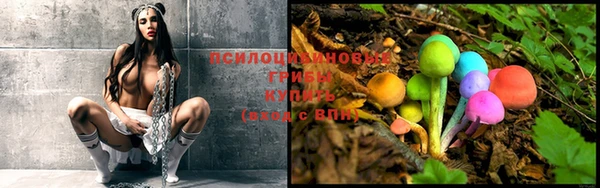 кокаин колумбия Инсар