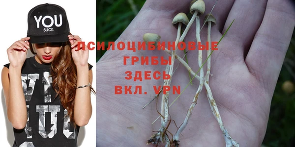 марихуана Инта