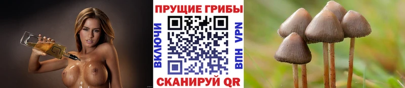 Псилоцибиновые грибы мухоморы  Купить  Билибино 